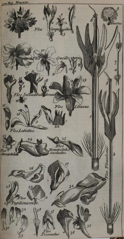 Große Abbildung Nr.8: 131-1743 Gentleman's Magazine, The,: (Verschiedene Länder - Geschichte)