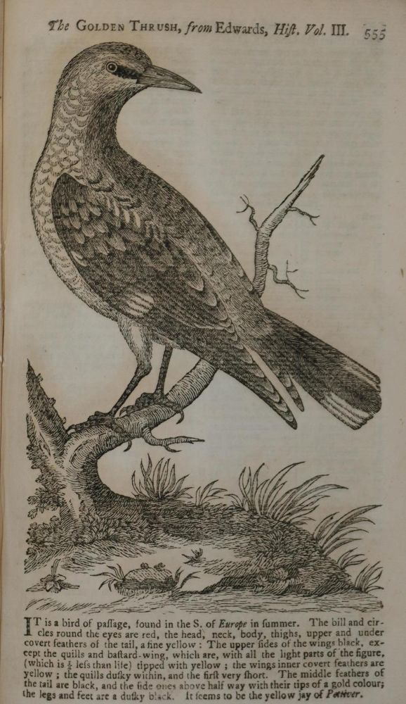 Große Abbildung Nr.8: 131-1744 Gentleman's Magazine, The,: (Verschiedene Länder - Geschichte)
