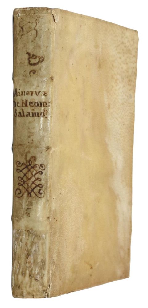 Große Abbildung Nr.3: 131-202 Minerva,P.: (Alte Drucke, Handschriften und Theologie)