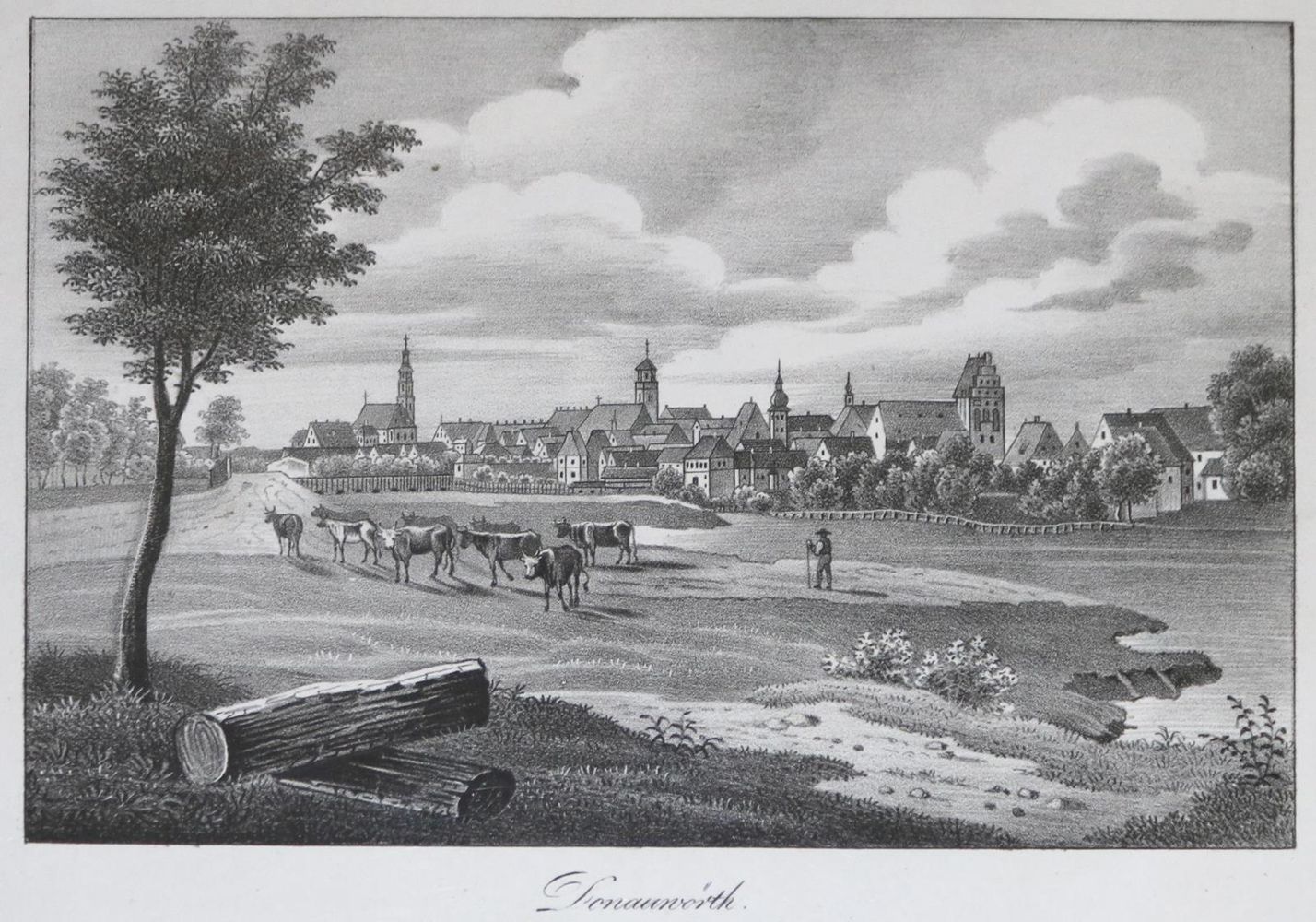 Große Abbildung Nr.2: 131-2572 Donauwörth.: (Deutschland)