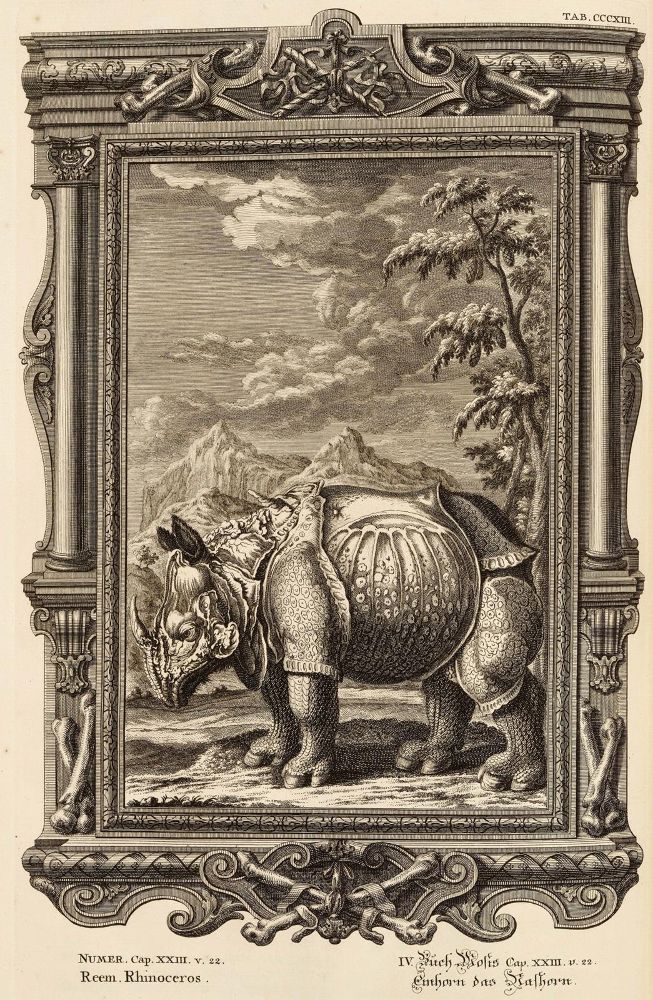 Große Abbildung Nr.2: 131-264 Scheuchzer,J.J.: (Alte Drucke, Handschriften und Theologie)