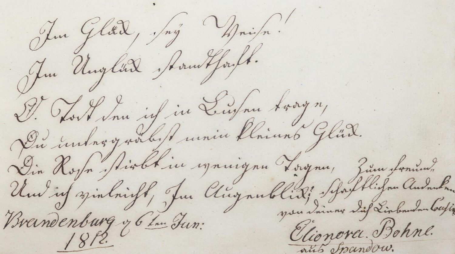 Große Abbildung Nr.2: 131-275 Album amicorum.: (Stammbücher)
