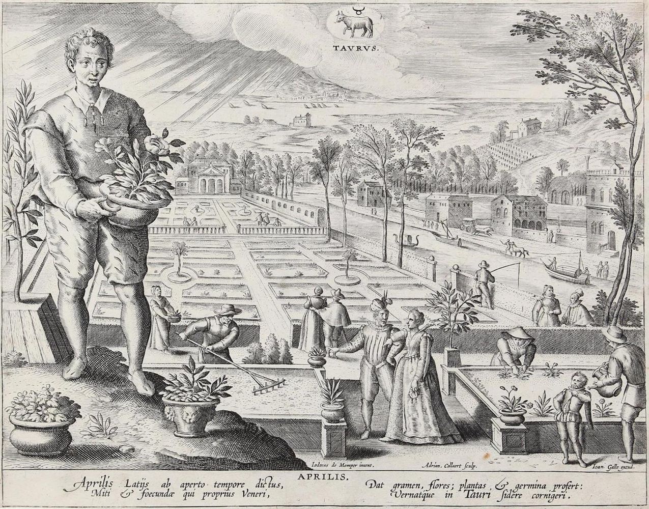 Große Abbildung Nr.1: 131-3006 Collaert, Adriaen: (Künstlergraphik)