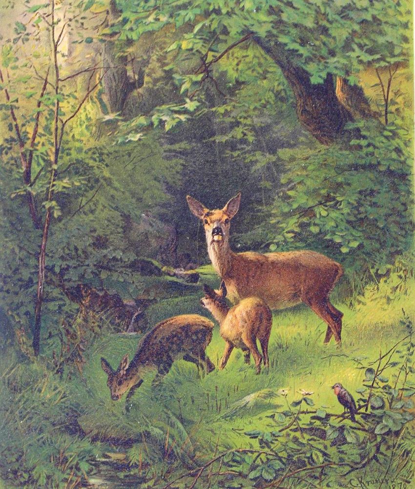 Große Abbildung Nr.2: 131-3366 Kröner, Christian Johann: (Künstlergraphik)