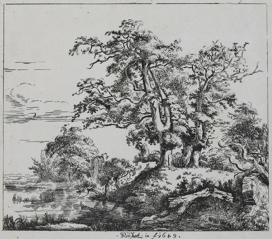 Große Abbildung Nr.1: 131-3636 Ruisdael, Jacob Isaackszoon: (Künstlergraphik)