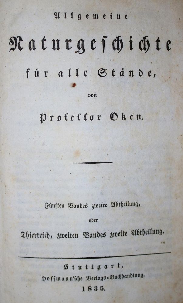 Große Abbildung Nr.1: 131-373 Konvolut: (Varia)