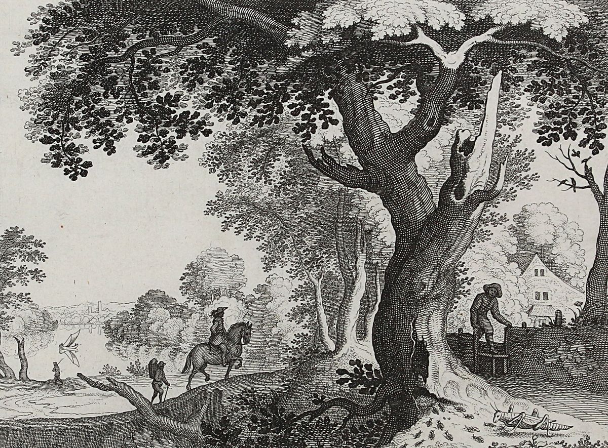 Große Abbildung Nr.1: 131-3809 Visscher, Claes Jansz. II: (Künstlergraphik)