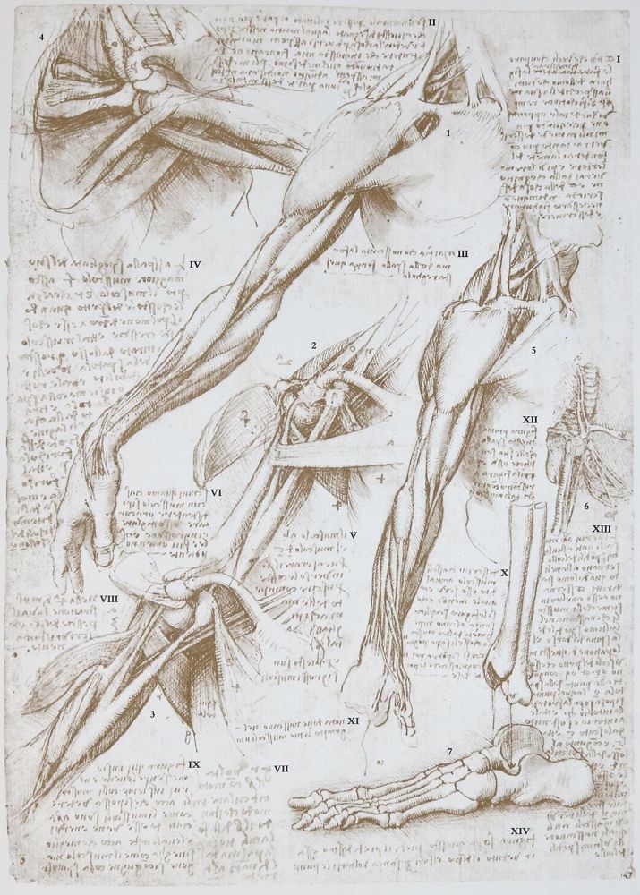 Große Abbildung Nr.1: 131-620 Leonardo da Vinci.: (Faksimile)