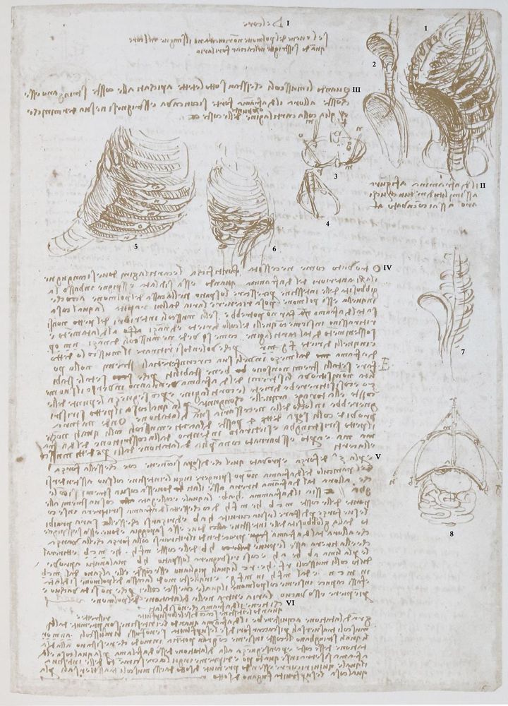 Große Abbildung Nr.2: 131-620 Leonardo da Vinci.: (Faksimile)