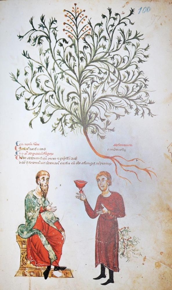 Große Abbildung Nr.1: 131-623 Medicina antiqua libri quattuor medecinae.: (Faksimile)