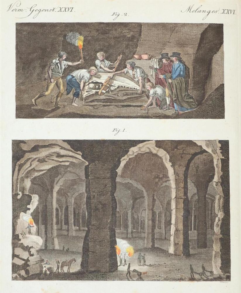 Große Abbildung Nr.1: 131-733 Bertuch,F.J.: (Kinder- und Jugendbücher)
