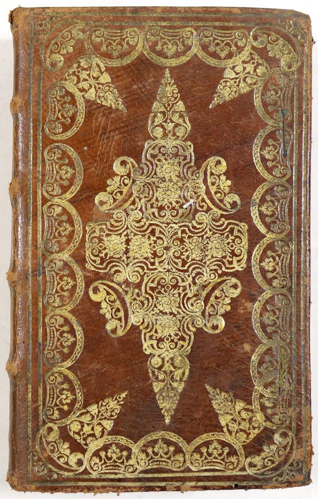 Große Abbildung Nr.1: 131-861 Brauner Ledereinband: (Einband)