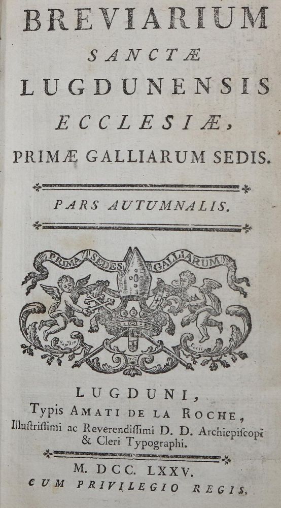 Große Abbildung Nr.2: 131-95 Breviarium: (Einband)