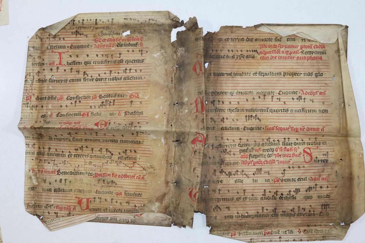 Große Abbildung Nr.24: 131-96 Einbandmakulatur.: (Alte Drucke, Handschriften und Theologie)