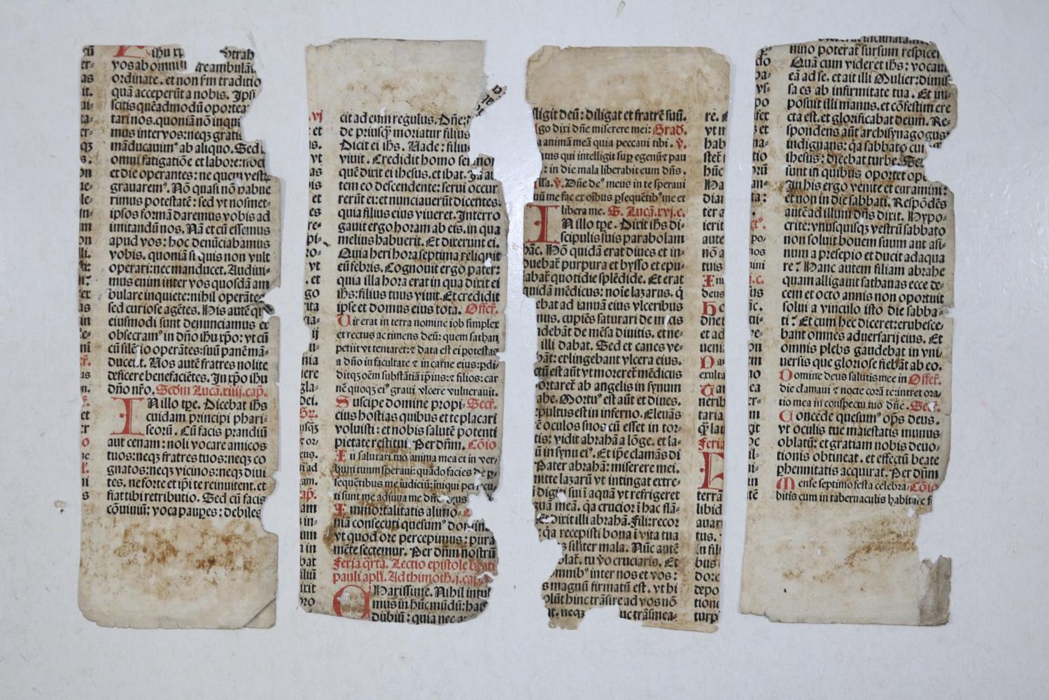 Große Abbildung Nr.28: 131-96 Einbandmakulatur.: (Alte Drucke, Handschriften und Theologie)