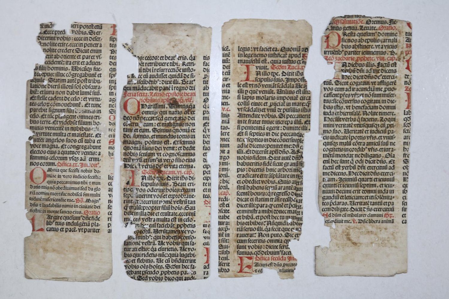 Große Abbildung Nr.29: 131-96 Einbandmakulatur.: (Alte Drucke, Handschriften und Theologie)