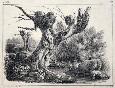 Bild Nr.1: 131-1093 Boisseau,H.: (Literatur und illustrierte Bücher 20.Jahrhundert - Alte Literatur in modernen Ausgaben)