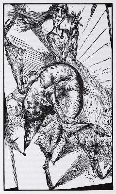 Bild Nr.21: 131-1147 Grass,G.: (Literatur und illustrierte Bücher 20.Jahrhundert - Alte Literatur in modernen Ausgaben)