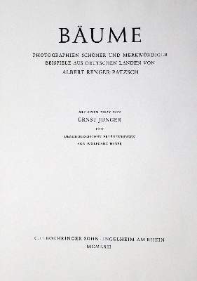 Bild Nr.2: 131-1218 Renger-Patzsch,A.: (Photographie)