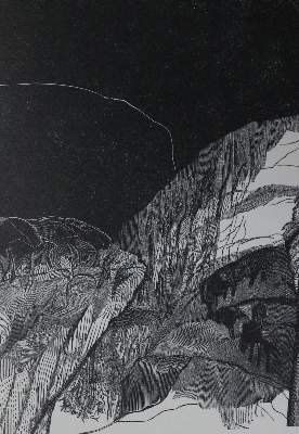 Bild Nr.21: 131-1231 Sammlung: (Pressendrucke)