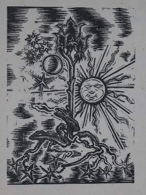Bild Nr.1: 131-1296 Wolf,G.: (Literatur und illustrierte Bücher 20.Jahrhundert - Alte Literatur in modernen Ausgaben)