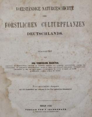 Bild Nr.3: 131-1306 Hartig,T.: (Botanik)