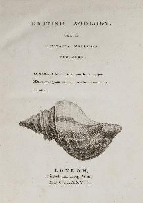 Bild Nr.1: 131-1314 Pennant,T.: (Botanik)