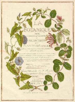 Bild Nr.3: 131-1317 Regnault,(N.F.).: (Botanik)