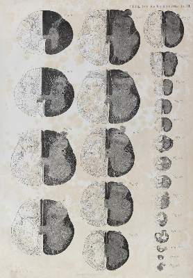 Bild Nr.2: 131-1369 Stilling, B.: (Medizin)