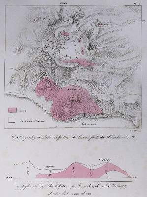 Bild Nr.1: 131-1380 Bonaparte,C.L.(J.L.).: (Zoologie, Fische)