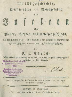 Bild Nr.1: 131-1382 Christ,J.L.: (Zoologie, Insekten)