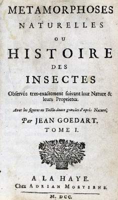 Bild Nr.1: 131-1383 Goedart,J.: (Zoologie, Insekten)