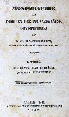 Bild Nr.1: 131-1384 Kaltenbach,J.H.: (Zoologie, Insekten, Läuse)