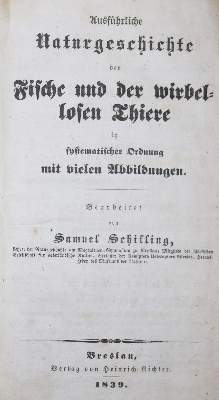 Bild Nr.1: 131-1389 Schilling,S.: (Zoologie)