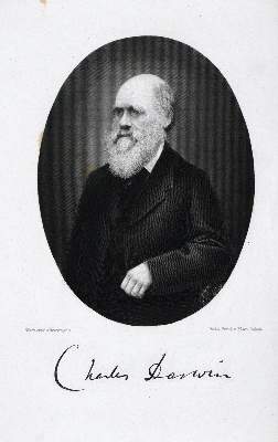 Bild Nr.2: 131-1415 Darwin,C.: (Verschiedene Gebiete - Varia)