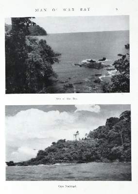 Bild Nr.2: 131-1479 Nigerian Field, The.: (Afrika)