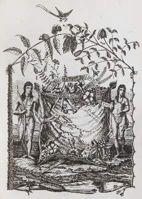Bild Nr.2: 131-1487 Jacquin,N.J.v.: (Amerika, Botanik)