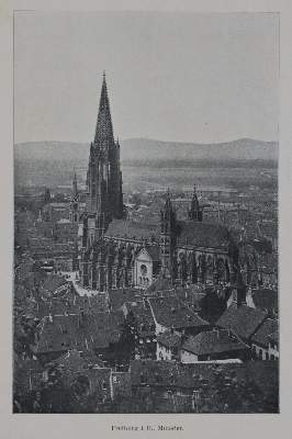 Bild Nr.2: 131-1616 Sammlung: (Deutschland, Schwarzwald)