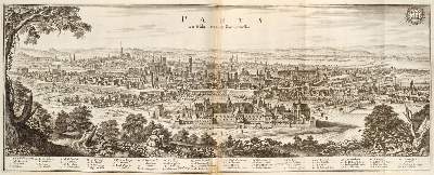 Bild Nr.1: 131-1667 Zeiller,M.: (Frankreich)