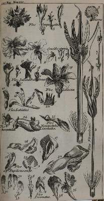 Bild Nr.8: 131-1743 Gentleman's Magazine, The,: (Verschiedene Länder - Geschichte)