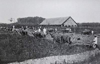 Bild Nr.1: 131-1787 Sammlung: (Verschiedene Länder - Geschichte)