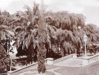 Bild Nr.1: 131-2382 Lambert, Gustav Richard.: (Photographie)