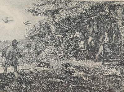 Bild Nr.1: 131-2462 Konvolut: (Varia)