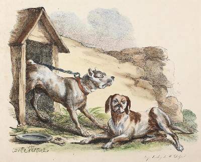 Bild Nr.5: 131-2477 Delpech, Francois-Séraphin: (Varia, Kynologie)