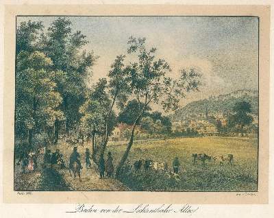 Bild Nr.2: 131-2630 Rüdesheim.: (Deutschland)