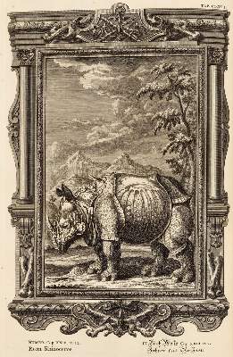 Bild Nr.2: 131-264 Scheuchzer,J.J.: (Alte Drucke, Handschriften und Theologie)