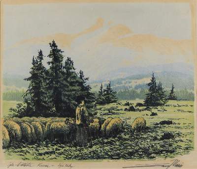 Bild Nr.1: 131-2785 Slowakei.: (Ausland, Slowakei)