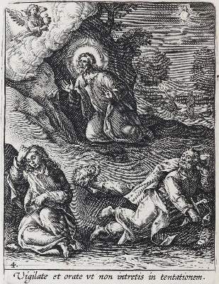 Bild Nr.1: 131-3005 Collaert, Adriaen: (Künstlergraphik)
