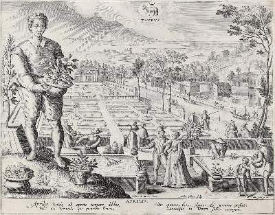 Bild Nr.1: 131-3006 Collaert, Adriaen: (Künstlergraphik)