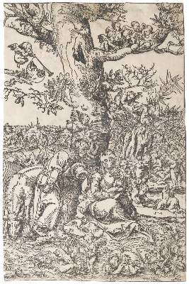 Bild Nr.1: 131-3016 Cranach, Lucas d.Ä.: (Künstlergraphik)